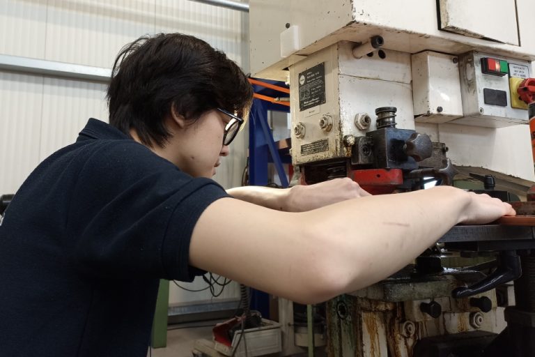 Geraldi Kolin_MT_SEM_Stamping process_
